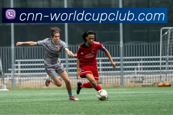 App Interface Preview